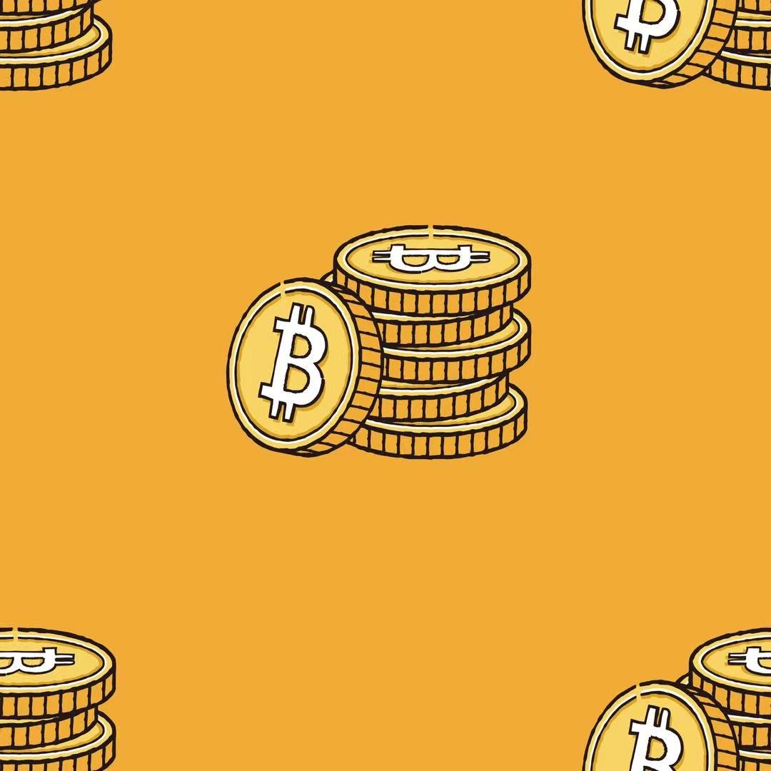 Bitcoin Stack Padded Sleep Sack