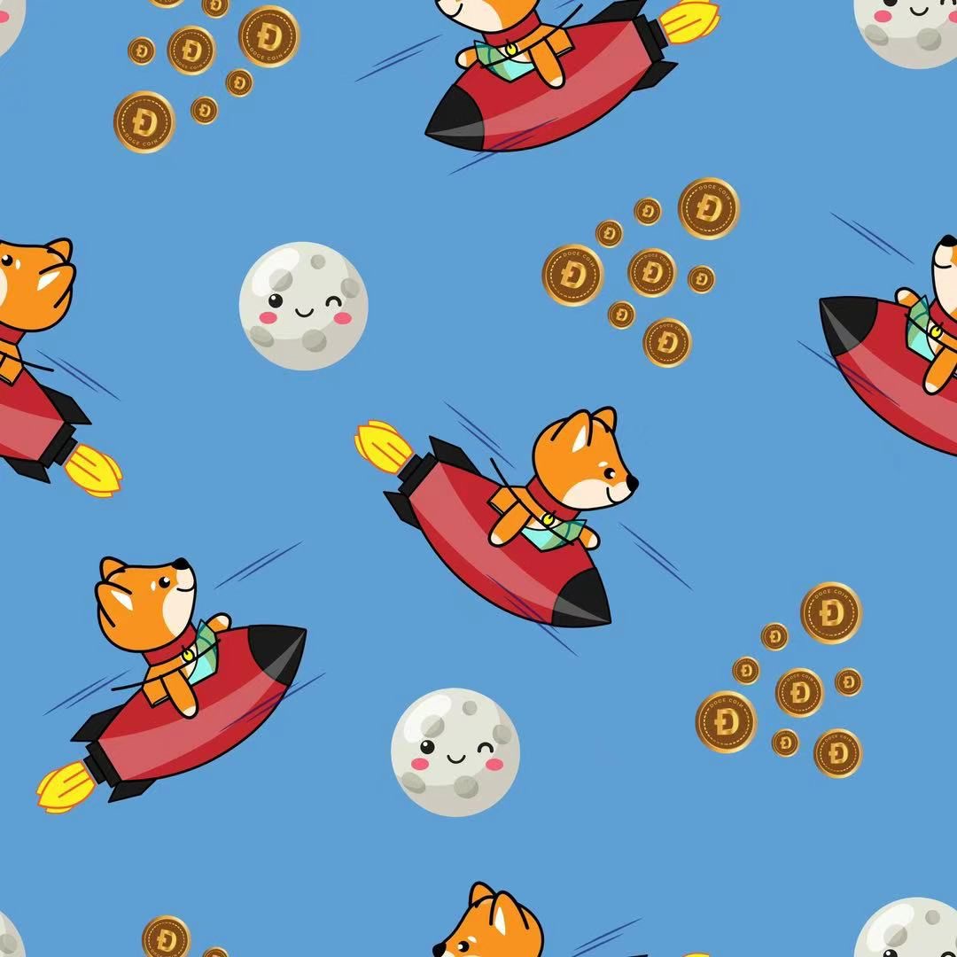 Doge to the Moon Padded Sleep Sack
